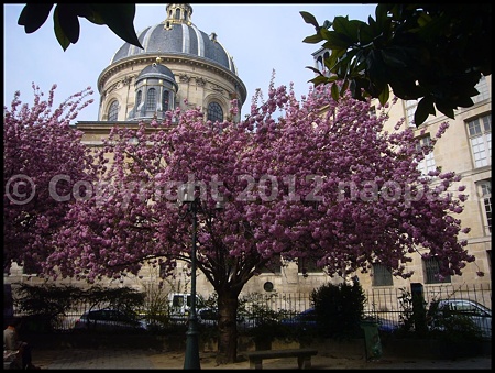 P3060751
