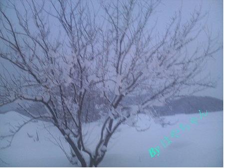 ある2月の早朝