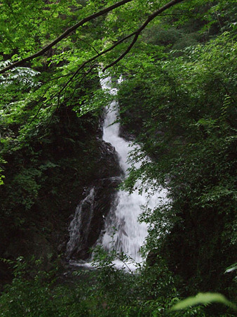 銚子口の滝　2011.6.12-1
