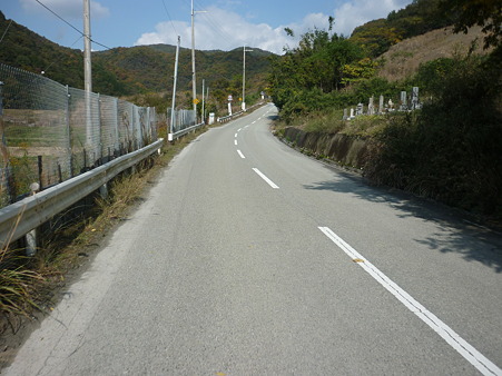 P1010524