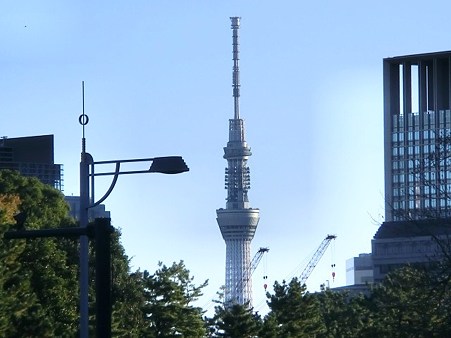 CIMG0969