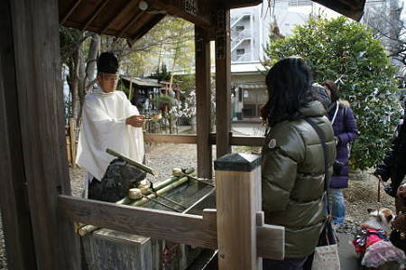 DSC04216