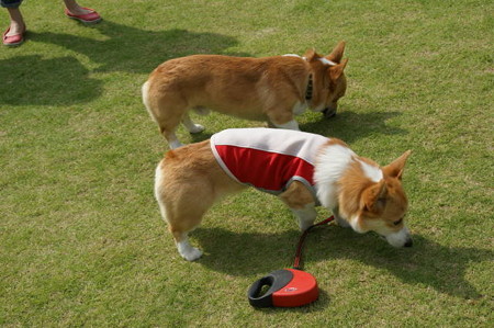 DSC06041