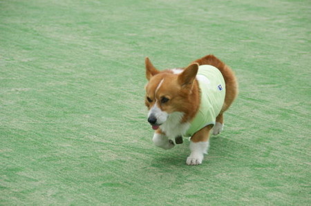 DSC06401