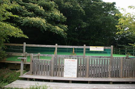 DSC02333