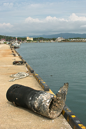 Taki_Port07022011sd15-03