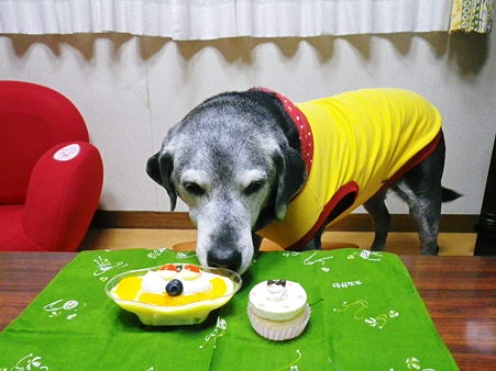 もも