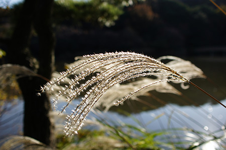 24mmf1.8_TEST1