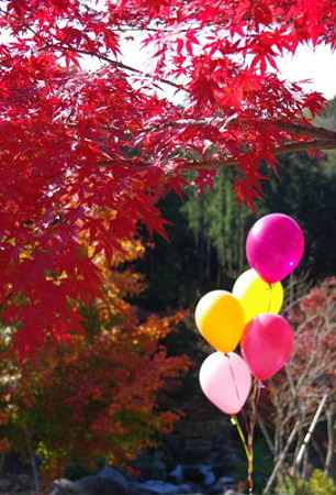 IMGP1337_1126