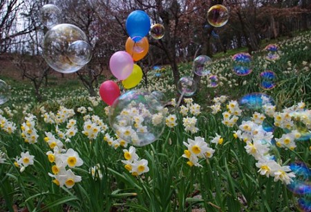 IMGP8962_0325