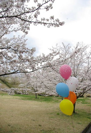 IMGP0456_0407