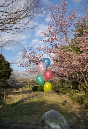 IMGP0149a_0407