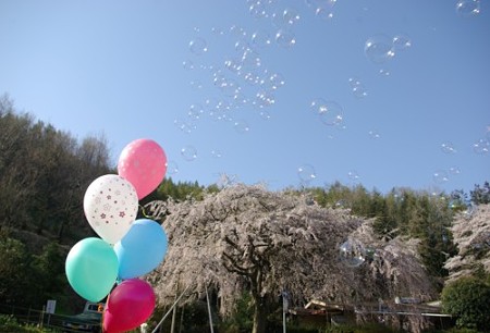 IMGP0274_0408a