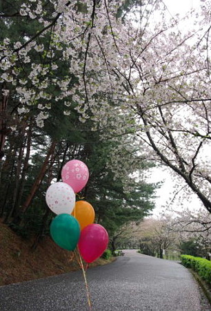 IMGP0281_0414