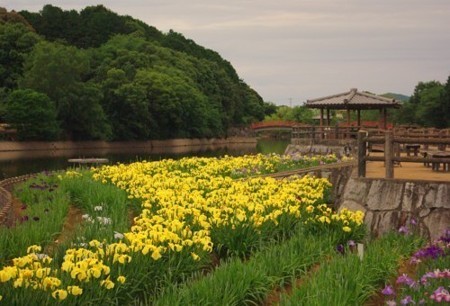 IMGP5448_0605