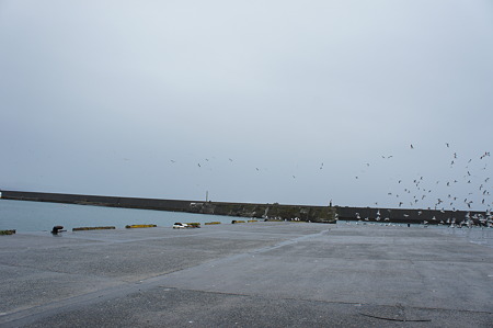 DSC01376