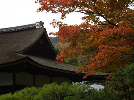京都 512