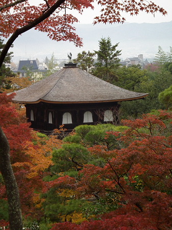 京都 563