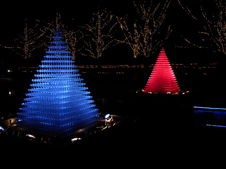 昭和記念公園 255