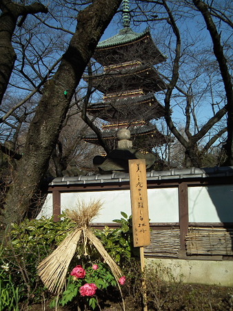 DSCF0130