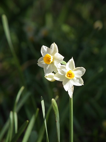 DSCF0061