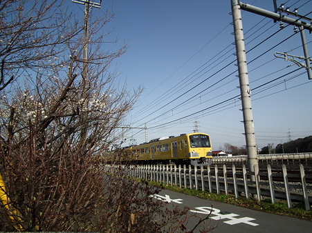 DSCF0032