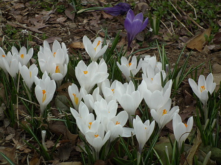 DSCF0162