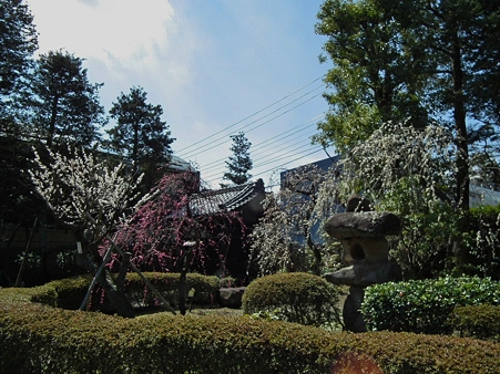 DSCF0045