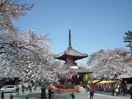 DSCF0080