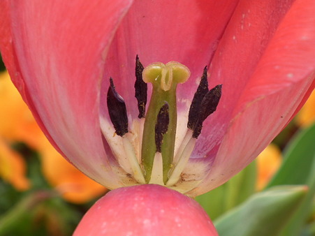 DSCF0043