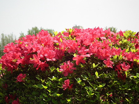 DSCF0070