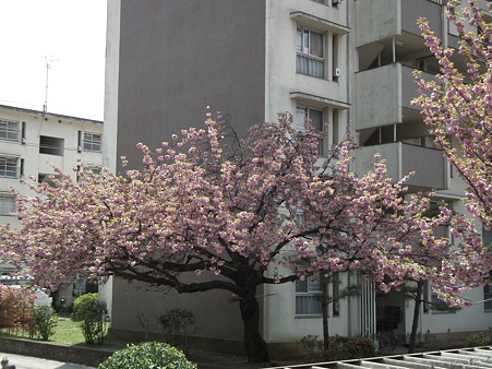 DSCF0086