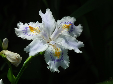DSCF0034