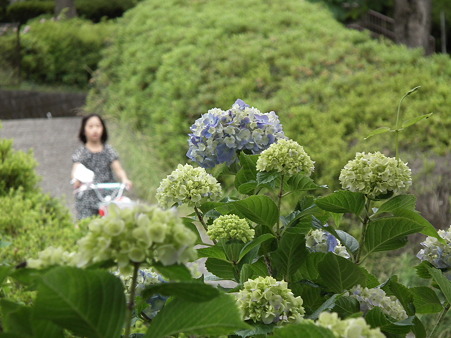 DSCF0073