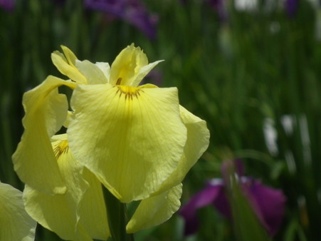 DSCF0157