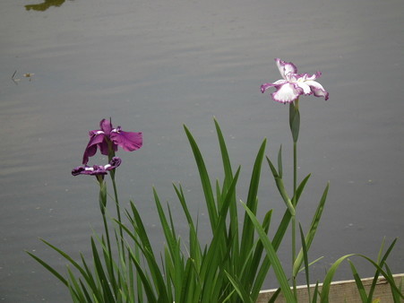 DSCF0292