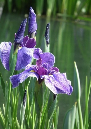 DSCF0519