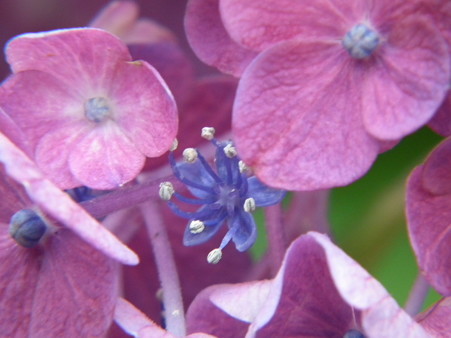 DSCF0283