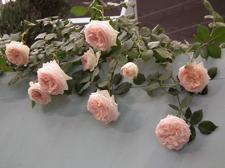 DSCF0158