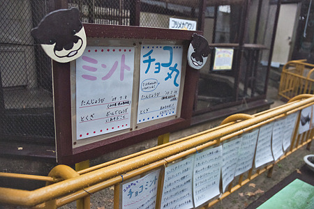 ikeda111203005