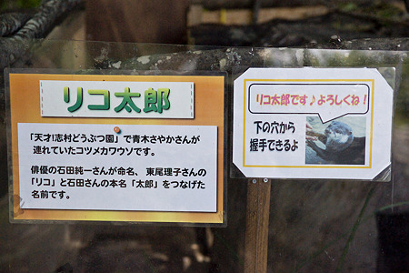 northsafari110705077