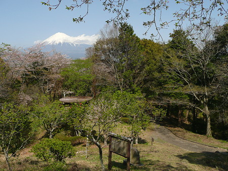 明星山公園のトイレ周辺