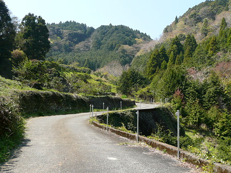 浜石岳へ続く道