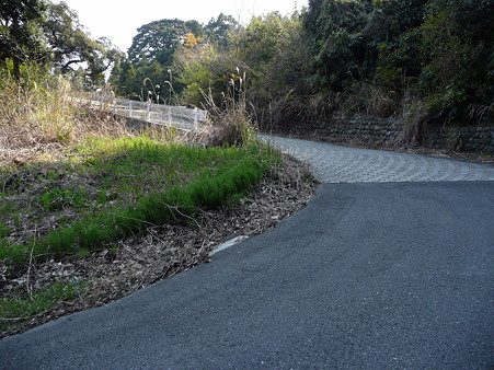 浜石岳へ続く道