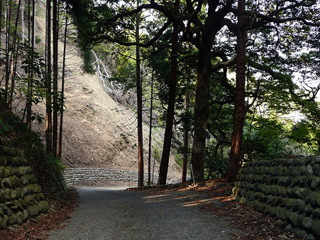 浜石岳へ続く道