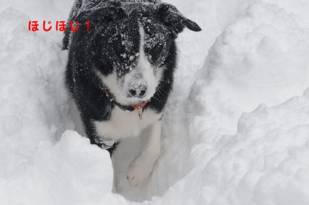 ほじほじ