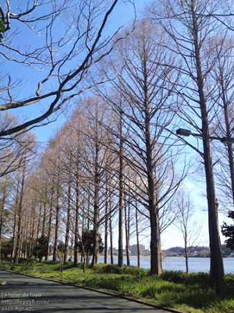 佐鳴湖公園の風景