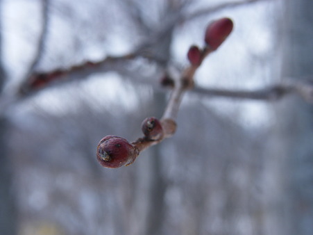 DSCF5886