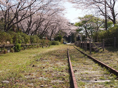 2012 桜 延岡