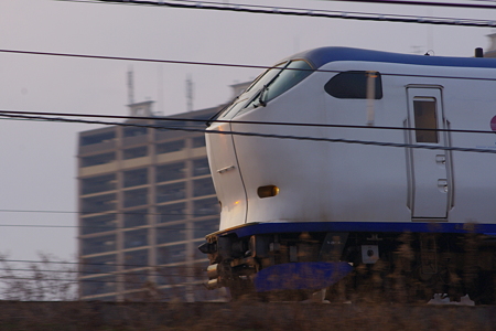 IMGP7289